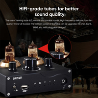 Préamplificateur à tubes en alliage d'aluminium BRZHIFI 65U noir, AUX, USB, carte TF, BT 5.0, amplificateur à tubes HiFi