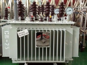 Transformateur en stock, commande directe usine / 200 kVA 13,8-0,48 kV Type Huile YNd11 Triphasé Élévateur 13,8 kV Générateur SafeHerm-20 - Product Image 3
