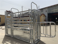 Chute de retenue de bétail vétérinaire robuste avec conception anti-coup de pied et porte de tête bovine réglable pour ranchs