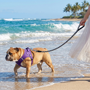 Nouvelle laisse pour chien en corde de polyester tressée à la main, réfléchissante <span class=keywords><strong>et</strong></span> personnalisée, avec clip de sécurité verrouillable, anti-emmêlement <span class=keywords><strong>et</strong></span> poignée rembourrée - Product Image 5