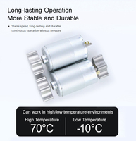 MingYang maßge schneiderte R-555 Doppelkopf-Mini-Vibrations motoren verfügbar 6V 12V 24V DC Spannung für kunden spezifische Mini-Informations maschinen