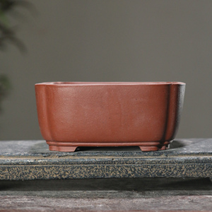 Maceta Cuadrada de Zisha para Bonsái, Borde Recto, Esquinas Recortadas, Estilo Chino, para Mesa - Product Image 4