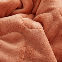 Plaid Doux et Chaud en Flanelle Double Couche, Jacquard Matelassé, Motif Floral Uni, Quatre Saisons, Écologique pour Chambre, Canapé, Salon