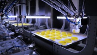 Delta Robot PLC-Controlled pour l'emballage de boulangerie et confiserie | Manipulation de biscuits au chocolat Pick Place Tri 1-10kgs Payload