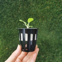 Pots en filet de haute qualité de 2 pouces pour hydroponie, canaux NFT et tours de culture verticales en serre