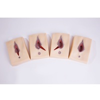 Simulador de Sutura de Episiotomía, Modelos de Vulva para Práctica de Sutura, Simulador de Entrenamiento de Sutura Vulvar, Modelo Anatómico de Vulva para Enseñanza Médica