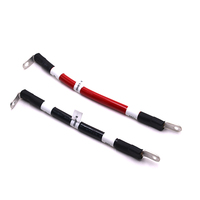 Maßgefertigter 70mm² 200A Verzinnter Kupfer 220V Auto-Steckverbinder 241225-06 PVC-Isolierter Kabelbaum für Neue Energie-Batterien
