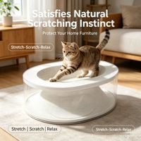 Articles pour animaux de compagnie : Griffoir pour chat ovale transparent à double couche, nid pour chat en carton ondulé, résistant aux rayures, résistant à l'usure