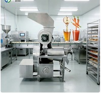 Machines de transformation de jus de fruits, machines de pasteurisation de jus de fruits, machine à jus de pomme