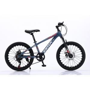 Naixin Vente en gros d'usine Vélos de montagne Prix bas Roues à double frein à disque 20 pouces pour adultes Vélo de montagne - Product Image 2