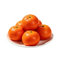 Exportateurs de fruits, fournisseurs de mandarines Wogan fraîches, achat de mandarines Orah biologiques à prix de gros
