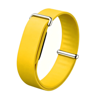 Correa de reloj moderna elevada Bandjoy al por mayor para Fitbit Air, accesorios inteligentes personalizados para correas de Google Fitbit Air