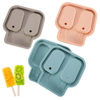 Moule à crème glacée en Silicone à 2 cavités avec couvercles et bâtonnets réutilisables pour sucettes glacées faites maison
