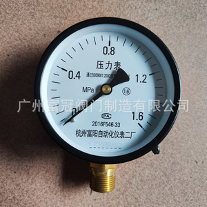 Fábrica de Instrumentos de Automatización de Hangzhou Fuyang No. Manómetro 2 Y100 0-1.6 Mpa para uso en agua, aceite e hidráulica - Product Image 3