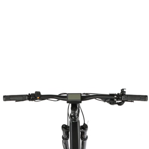 Bicicleta de montaña E-bike Bicicleta de <span class=keywords><strong>carretera</strong></span> <span class=keywords><strong>Manillar</strong></span> de barra plana - Product Image 2