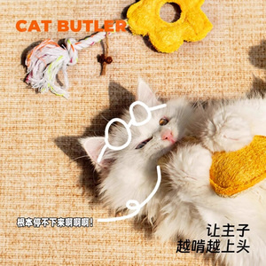 ของเล่นฟองน้ำใยบวบสำหรับแมว ช่วยทำความสะอาดฟัน สำหรับลูกแมวเพื่อความบันเทิงในตัวเอง - Product Image 2