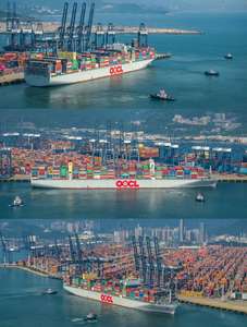 خدمات الشحن من الباب إلى الباب عبر DHL LCL+Express والشحن البحري من الصين إلى أوروبا والولايات المتحدة مع التأمين ودعم على مدار الساعة - Product Image 3