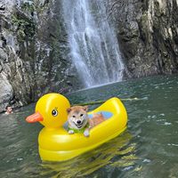 Bouée de natation gonflable manuelle en PVC pour chiens, modèle petit canard jaune, lit flottant portable pour chiens de petite/moyenne taille, chiots et bouledogues français