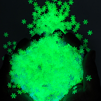 Brillo grueso de poliéster de 1kg que brilla en la oscuridad Brillo luminoso a granel Brillo en la oscuridad