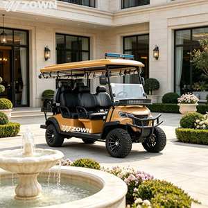 Carrito de golf eléctrico de 4 ruedas homologado para circular por la calle, con batería de litio, para la comunidad. - Product Image 1