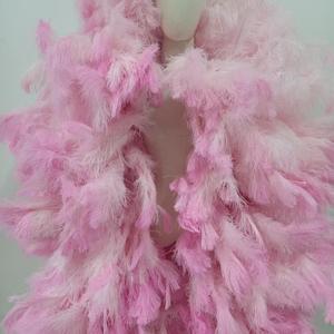 Magnifique guirlande de plumes d'autruche épaisses et moelleuses, teintes, de 3,5 mètres, pour spectacle de carnaval, fête dansante, costume - Product Image 3