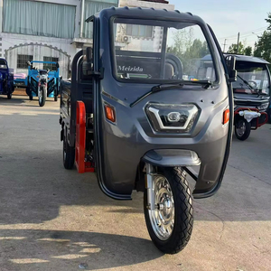 Heavy-Duty Tricycle - Product Image 1