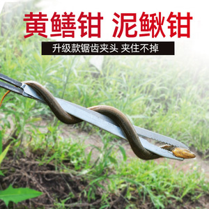 Green Smooth Eel Tongs Steel Long Reach Fishing Forceps For Crab And Loach Catching - Product Image 4