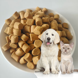 Barres nutritionnelles saines pour chatons et chats adultes, riches en protéines, sans céréales, friandises saines, viande crue lyophilisée - Product Image 1