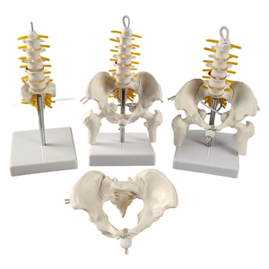 Abnehmbares kleines Becken mit Lenden gurt-Leichte Unterstützung für unteren Rücken und Becken - Product Image 1