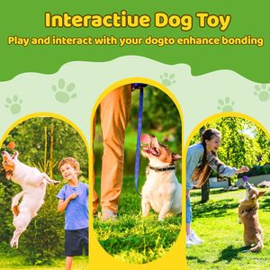 Jouet interactif en peluche écologique pour chien, 5 cm, style dessin animé, petit jouet pour animaux de compagnie, pour chats et chiens, fabriqué dans des usines chinoises - Product Image 6