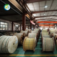 Factory Price WOLF OPGW ADSS G652D Optical Fiber Cable 6-72 Core Tension Power Aerial Overhead