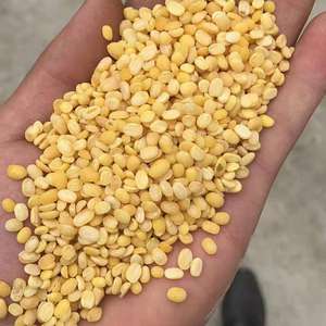 Moong Dal 2025 çin Vigna yeşil maş fasulyesi Moong Dhal Hulled bölünmüş yeşil Mung fasulye - Product Image 2