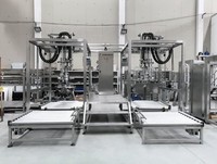 Vruchtensap Productielijn Appelsap Productielijn/Complete Mango Sap Productielijn