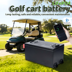 Paquete <span class=keywords><strong>de</strong></span> Baterías Personalizadas <span class=keywords><strong>de</strong></span> 48V 76.8V LiFePO4 para Carrito <span class=keywords><strong>de</strong></span> Golf, Batería <span class=keywords><strong>de</strong></span> Iones <span class=keywords><strong>de</strong></span> Litio <span class=keywords><strong>de</strong></span> Alta Capacidad <span class=keywords><strong>de</strong></span> Reemplazo Directo para Club Car EZGO Yamaha - Product Image 4