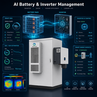 Batteria per Accumulo Energetico Industriale e Commerciale Inedge Power 50KW/100kWh LiFePO4, Sistema di Energia Solare per Microgrid