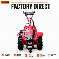 Mini motoculteur à essence 9HP, moteur refroidi par air, embrayage à disque, pour verger, vitesses avant et arrière, utilisation facile, homologué CE