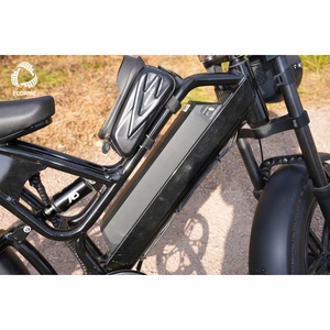 Vélo électrique CE EcoRide V10 en stock – Fatbike électrique tout-terrain pas cher avec pneus larges de 20 pouces – Vélo électrique directement de l'usine - Product Image 3