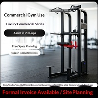 Barras Paralelas y de Dominadas de Acero de Grado Comercial para Gimnasios, Venta Directa de Fábrica para Estudios de Entrenamiento Personal, Entrenamiento de Músculos de la Espalda