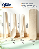 Ensemble de couverts jetables portables modernes en plastique trois pièces finition mate pour la rentrée scolaire (cuillère, fourchette, baguettes)