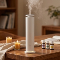 Diffuseur d'arômes automatique sans eau à air froid noir 120 ml, certifié ISO, pour la vente en gros sous marque privée, idéal pour restaurants, bureaux et espaces publics