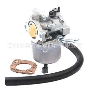 Carburador Briggs Stratton P2 590399 para motor 796077 215807 590399, pieza de repuesto de tipo mecánico - Product Image 3