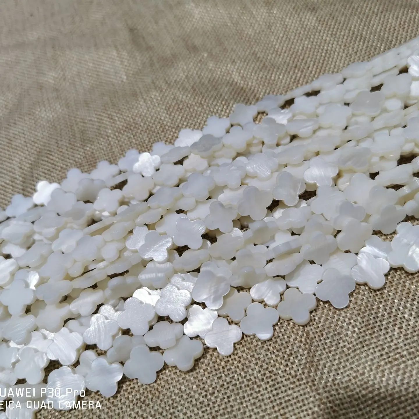 10mm shell flower beads