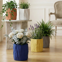 Pot Mini Beton Tekstur Kerut Wabi-Sabi Buatan Tangan Tekstur Khusus Warna & Logo Kustom Pot Kecil Sukulen Oxalis untuk Meja