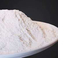 Hydroxyde de calcium de haute pureté, chaux calcaire en poudre blanche pour le traitement des eaux usées, ajustement du pH, usage industriel
