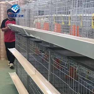 10000 cage de poulet de chair d'éleveur de ferme de poulet automatique d'oiseau à vendre