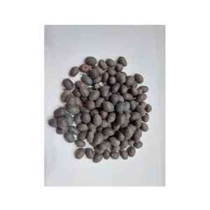 Extrait de Nelumbo Nucifera, coquille de graines de lotus noir, culture sauvage, séché, qualité alimentaire, directement d'Inde - Product Image 3