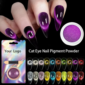 10 colores camaleón magnético Nail Art Cat Eye Powder 3D Laser Flash Nail Powder Art Aurora Chrome Cat Eye Nail Pigment Powder - Product Image 1