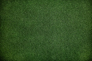 Artificial Grass Synthetic Turf Lawn <b>Mat</b> Outdoor Realistic High Simulation Green Carpet <b>Roll</b> - Product Image 5