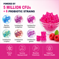 Gummies Probiotiques pour Femmes, Fournisseur d'Usine OEM/ODM, Favorisent la Flore Vaginale et l'Équilibre du pH, Saveur Naturelle de Baies (60 Unités)