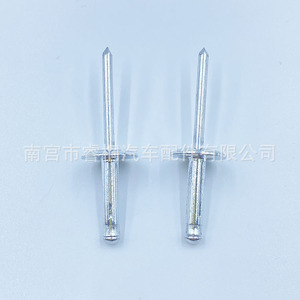 Remache Ciego de Cabeza Redonda de Aluminio Shuangxuan 4.8*21, Remache Impermeable para Automoción - Product Image 1